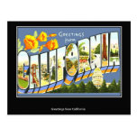 California Vintage Postcard