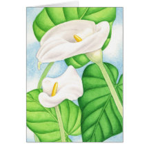 Calla Lilies Greeting Card