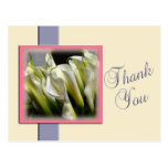 Calla Lilies Thank You Postcard Template
