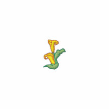 Calla Lily