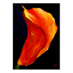 Calla Lily II ACEO Art Trading Cards Business Cards