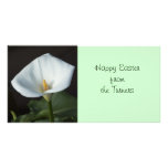 Calla Lily Photo Card