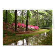 Callaway Stream Greeting Cards