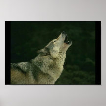 Calling the pack print