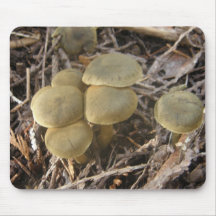 Callistosporium luteo-olivaceum. mousepads