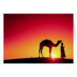 Camel and driver at sunset, India Card