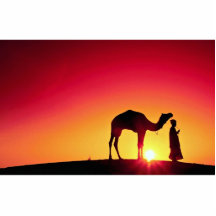 Camel and driver at sunset, India Photo Sculpture