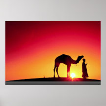 Camel and driver at sunset, India Posters