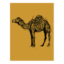 Camel Encrypted Post Cards