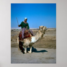 Camel rides at the Dead Sea Posters