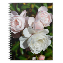 Camellia-079 Notebook