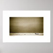 Camels in Jordan Desert (sepia) Poster