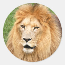Cameron 2_9x9 round sticker