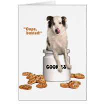 Cammi Products cards