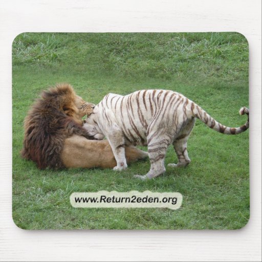 CamNzabu002 copy Mousepad