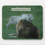 CamNzabu026 copy Mouse Pad