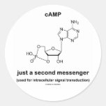 cAMP {Molecule} Just A Second Messenger Round Stickers
