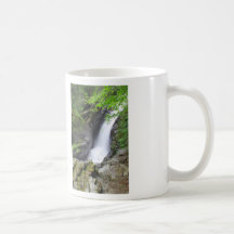 Campbell Falls gorge Berkshires Waterfall Coffee Mugs