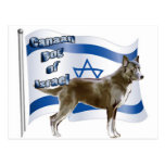 Canaan dog of Israel Post Card