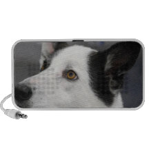 Canaan Dog  Speakers