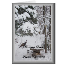 Canada Boxing Day Greeting-Turkey Framed Cards