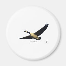 Canada Goose 9R005D-123 Fridge Magnets