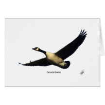 Canada Goose 9R005D-123 Greeting Cards