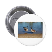 canadas pin