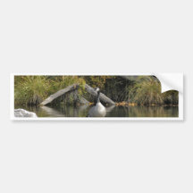 Canadian Goose Bumper Sticker