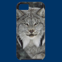 Canadian Lynx Closeup iPhone 5 case casemate cases