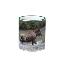 Canadian Moose Wildlife Animal Coffee Mug