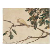 Canary on an Oak Tree Branch Post Card