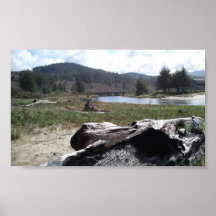 Cannon Beach Print