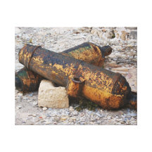 Cannon Canvas Prints