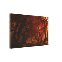 Canopy Creek (Autumn) Wrapped Canvas Stretched Canvas Prints