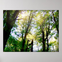 canopy print