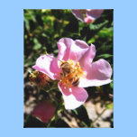 Canvas print - bee on a wild rose canvas prints