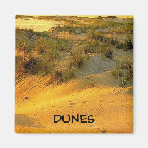 Cape Henelopen Dunes - magnet