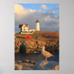 Cape Neddick Nubble Lighthouse and Seagull Posters