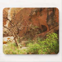 Capitol Reef National Park Mouse Mat
