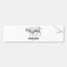 Capricorn (December 22nd - January 19th) Bumper Stickers