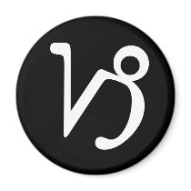 Capricorn magnets