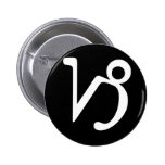 Capricorn Pin