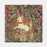 Captive unicorn magnets