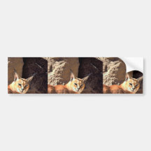 Caracal Bumper Sticker