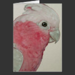 Card - Cockatoo cards