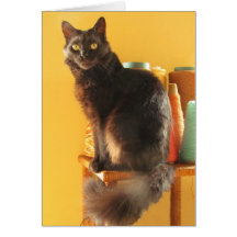 Card - greeting - Cat with yarn