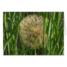 Card - Greeting - Puff ball