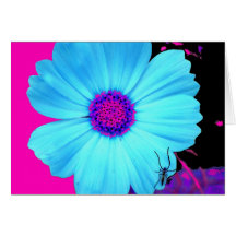 Card Light Blue Flower