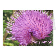 Card: Paz y Amor - Purple Wildflower